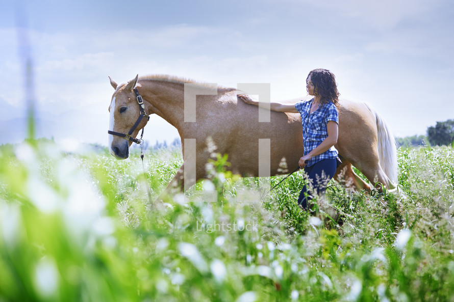 Woman and horse together at paddock