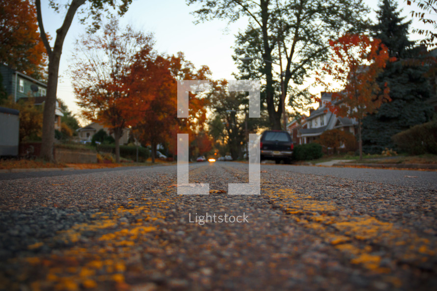 asphalt on a neighborhood road in fall 