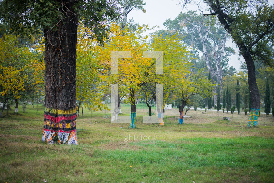 Painted tree trunks