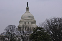 The Capitol building 