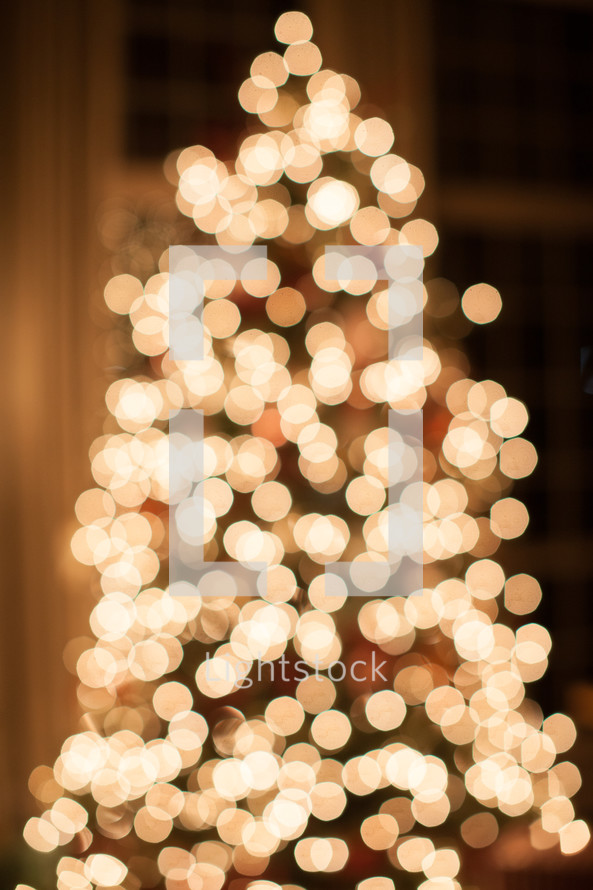 bokeh white lights on a Christmas tree