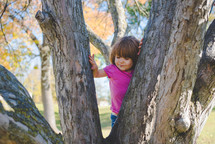 girl climbing a tree 