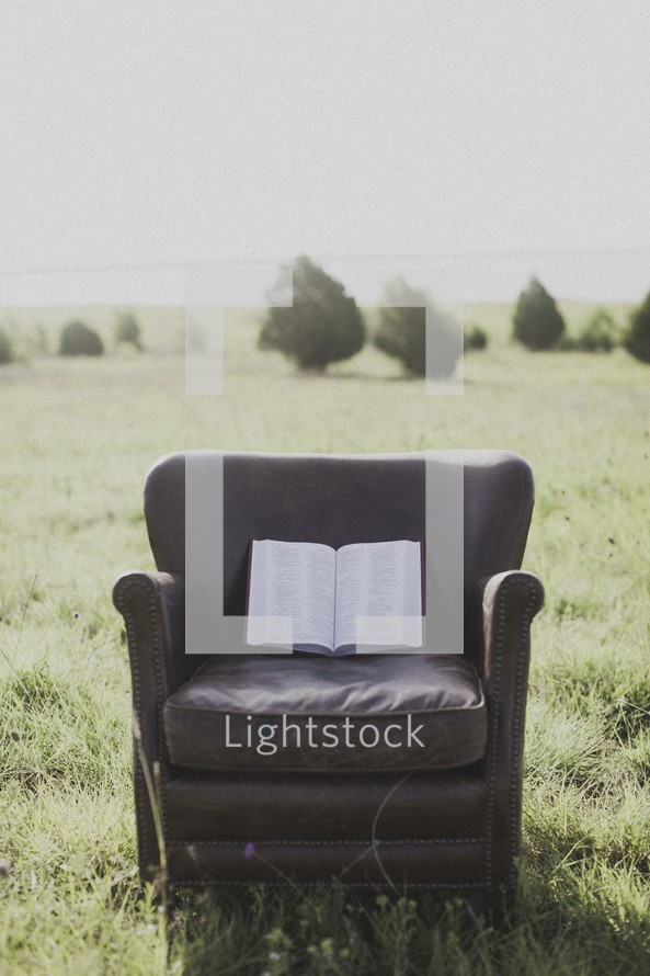 a Bible in a leather chair in a field 