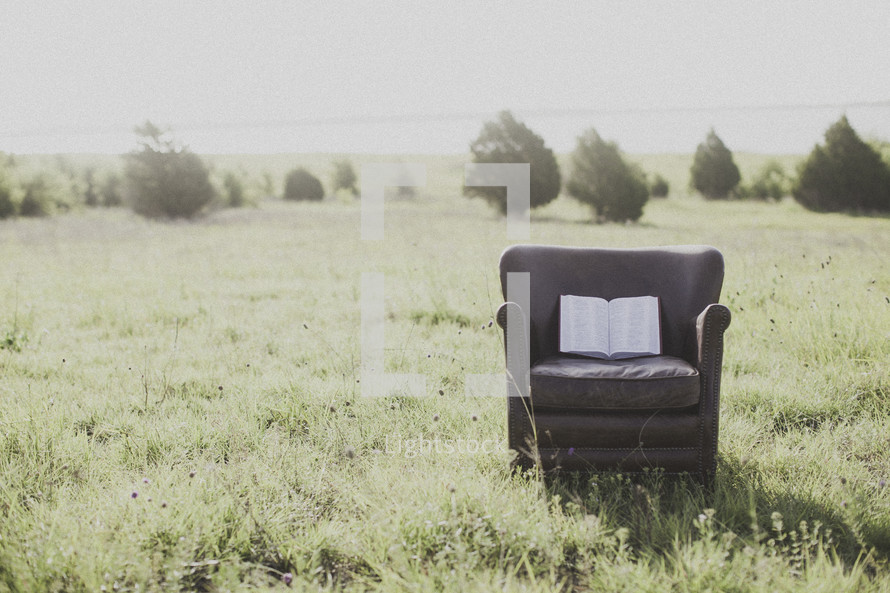 open Bible in a leather chair in a field 