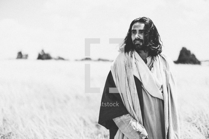 Jesus Christ walking in a field