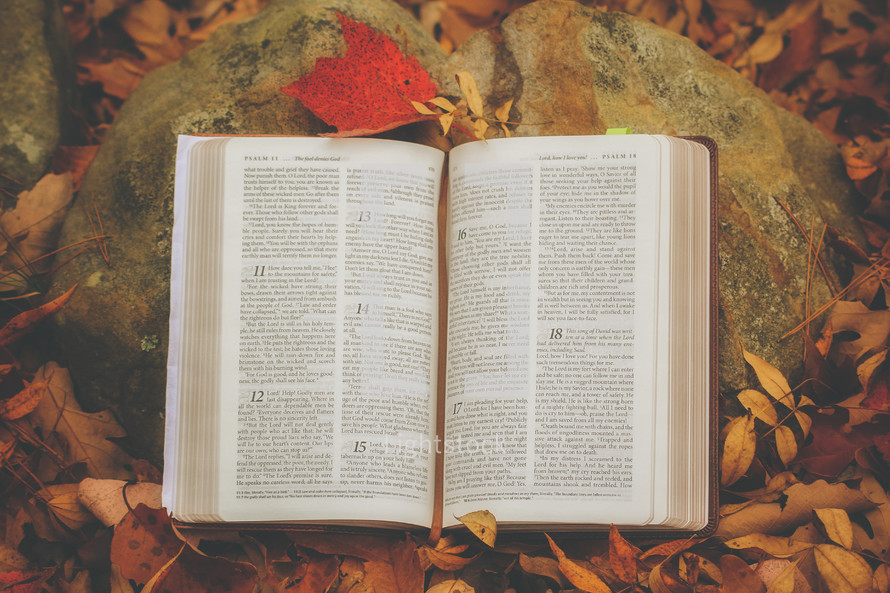 open Bible on a rock surrounded by fall leaves 