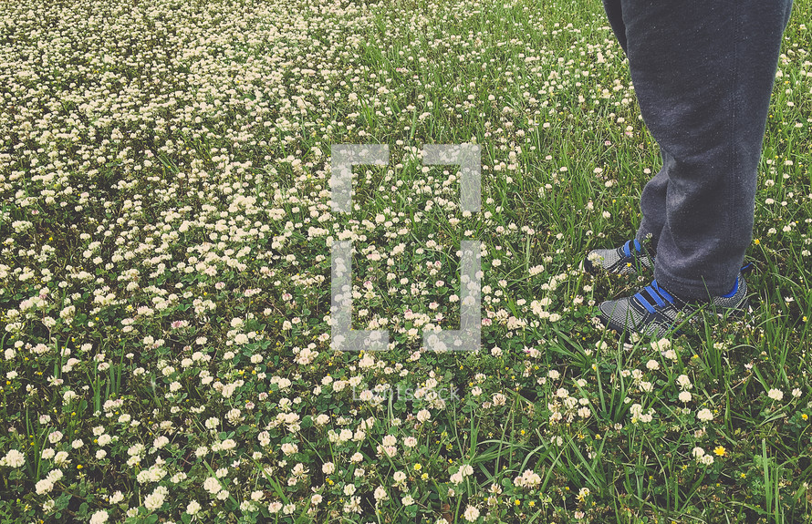 a child standing in a field of clover flowers