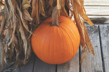 Pumpkin with corn stalks in October Fall background scene