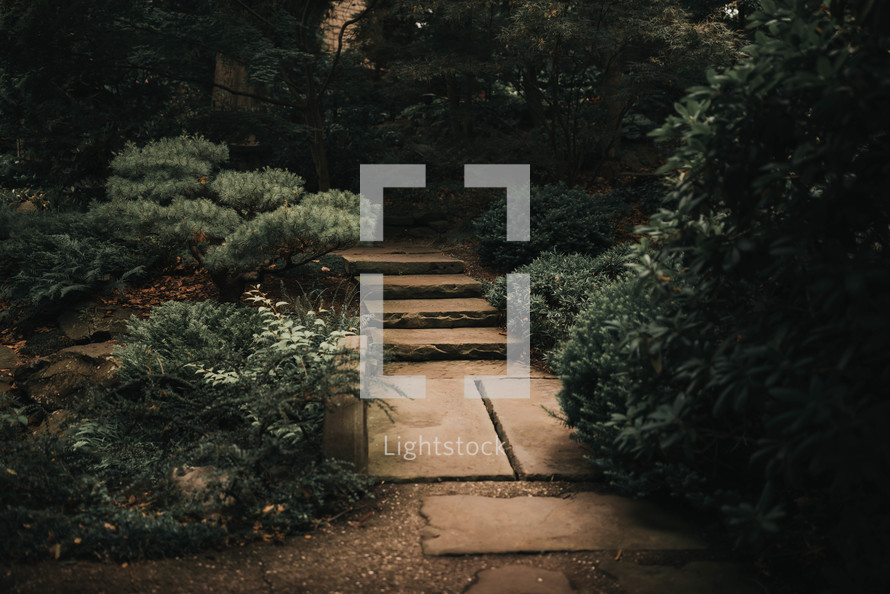 a set of stone stairs outdoors in the middle of greenery