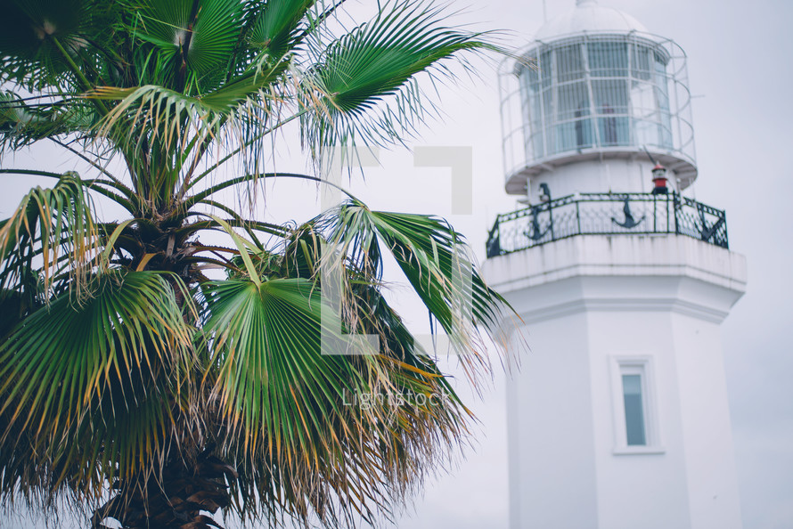 lighthouse on the seashore in the background of palm trees