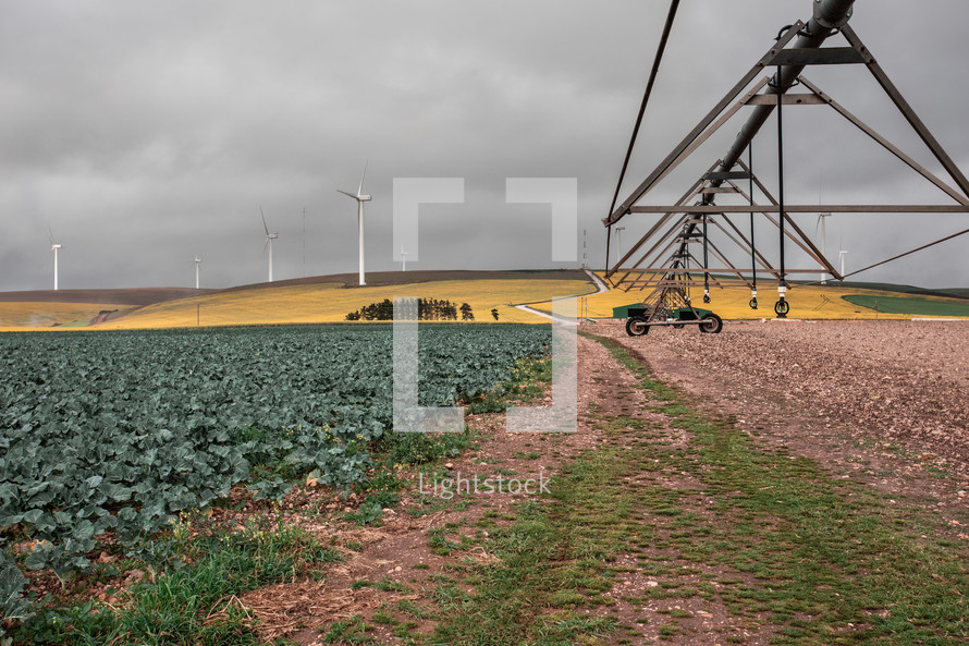 wind turbine and irrigation system on a farm 