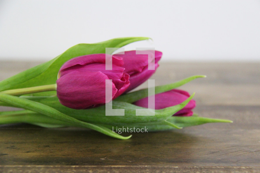 Several purple tulips laying on a wooden table.