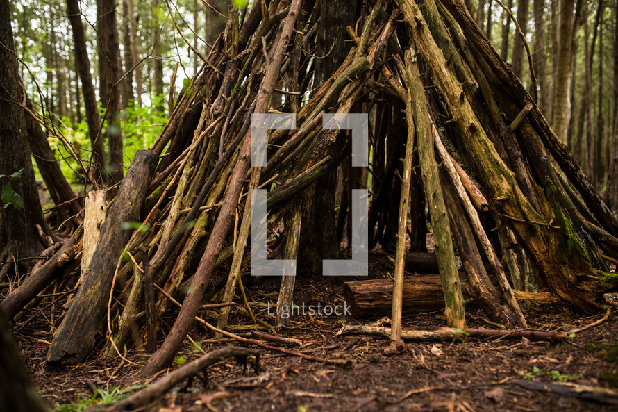 teepee of sticks in the woods 