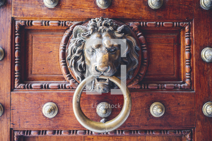 lion door pull in Egypt 