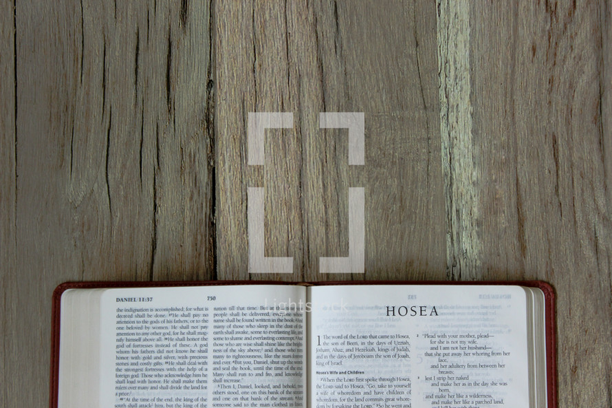 Bible opened to Hosea 