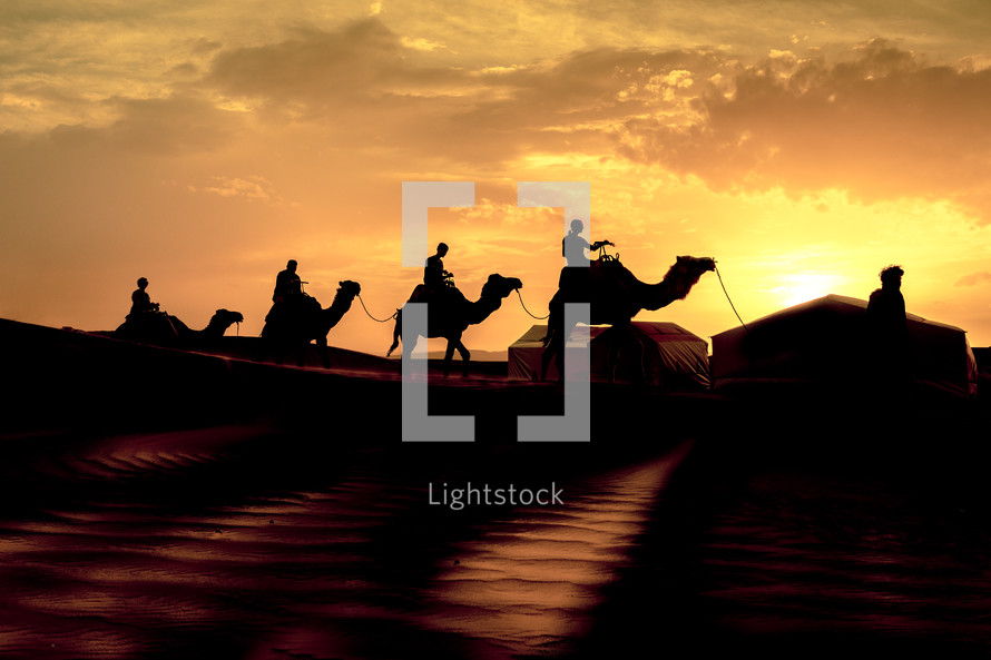silhouettes of camels crossing a desert 