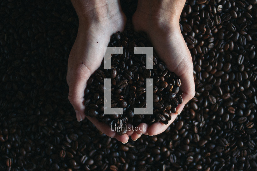 cupped hands and coffee beans 
