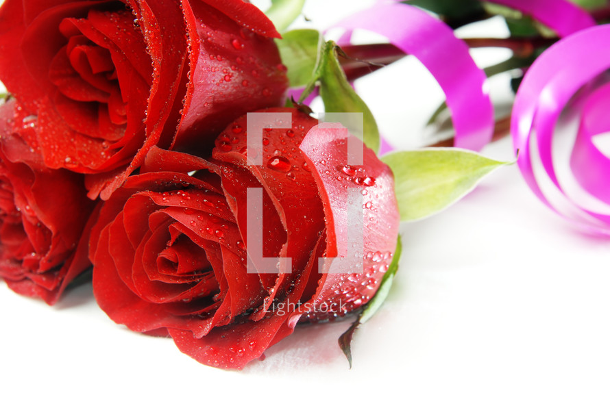 red roses and pink ribbon 