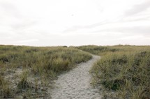 sandy path 