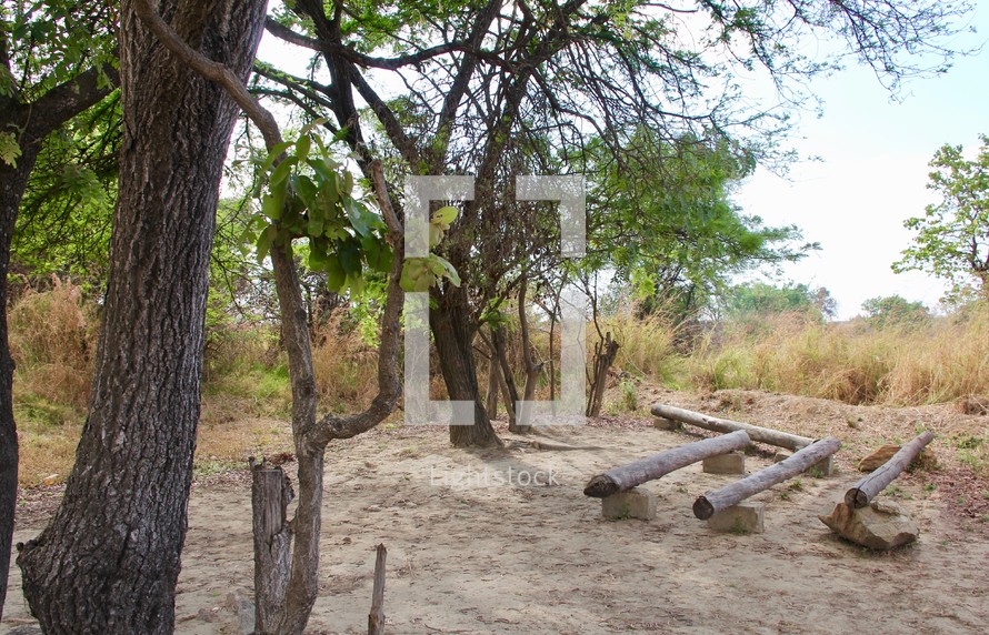 African Rural Church Under a Tree