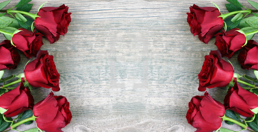 Red roses border on wood Valentine's Day background