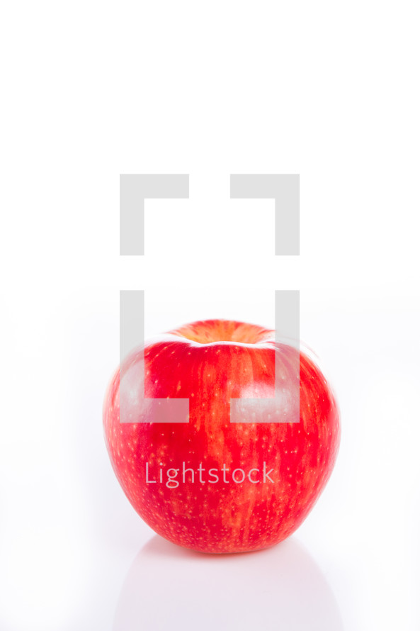 A red apple set against a white background.