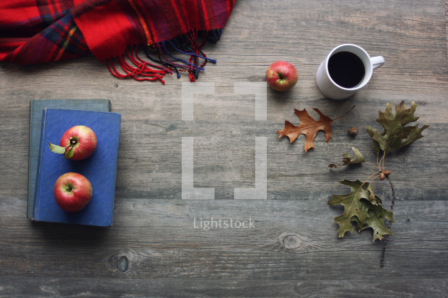 plaid blanket, apples, vintage books, and fall leaves on wood 