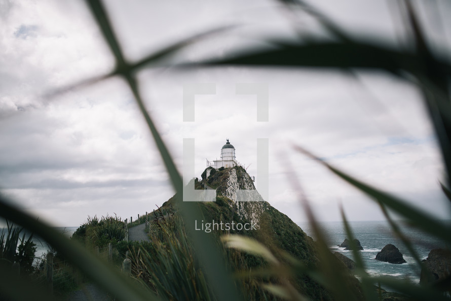 lighthouse in New Zealand 
