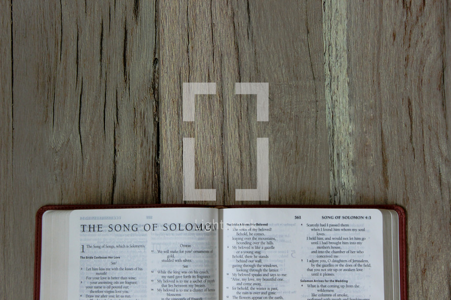 Bible opened to Song of Solomon