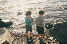 children looking for shells along a shore 