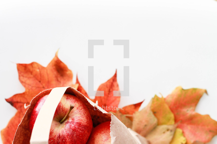 fall leaves and bag of apples on a white background 