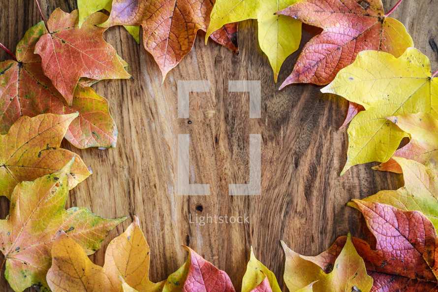 border of fall leaves on wood background