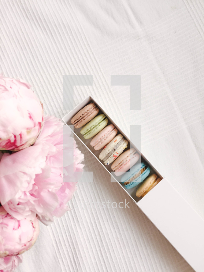 macarons and pink flowers 