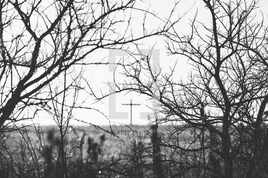 Cross on the hill seen through tree limbs.