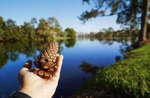 Human hand holding pine cone next to the lake