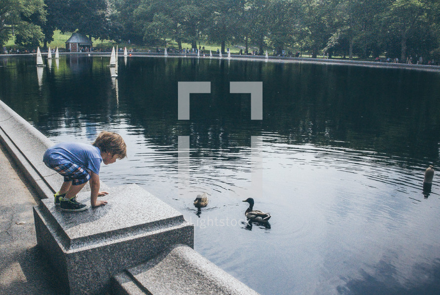 a child near a duck pond 
