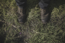 dress shoes standing in grass 