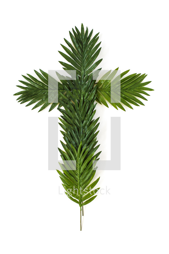 palm fronds in the shape of a cross