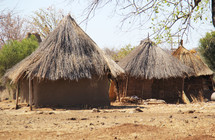 straw roof huts in an African village 