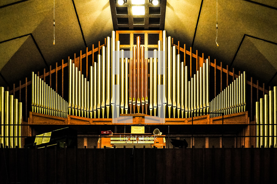 organ pipes 