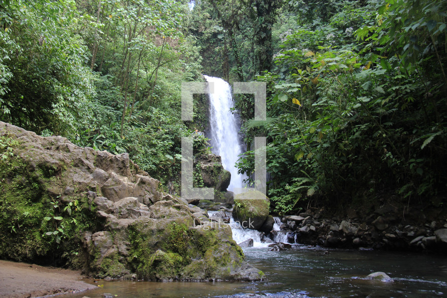 waterfall in a Jungle 