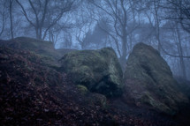 moss on rocky in a foggy forest 