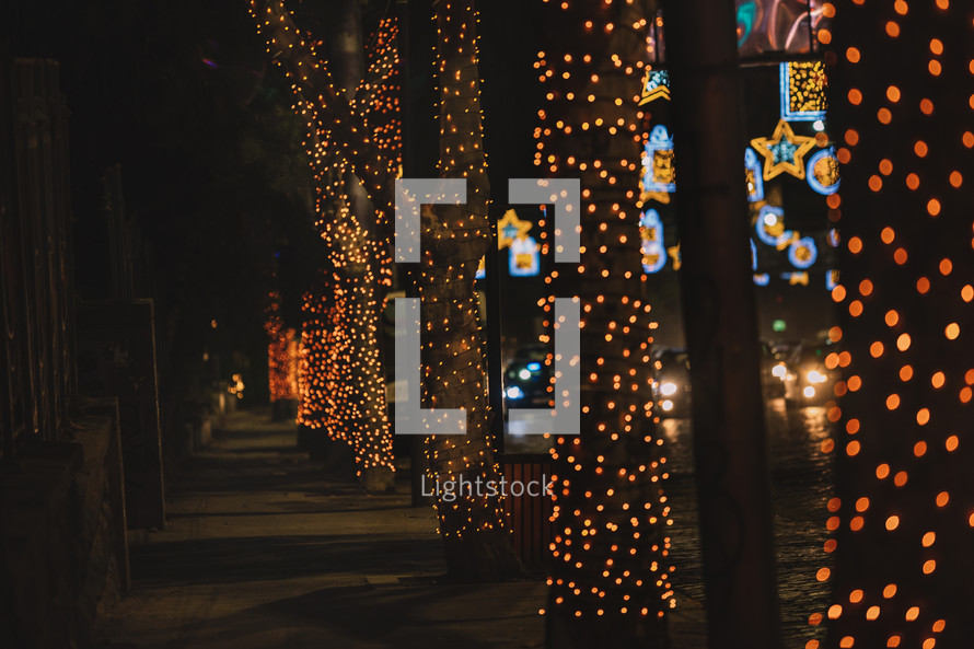 Christmas illuminated tree alley