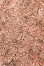 cracked soil 