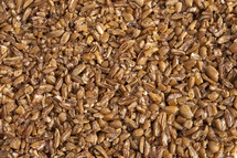 grains texture background 