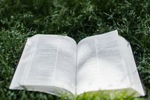 open Bible in grass