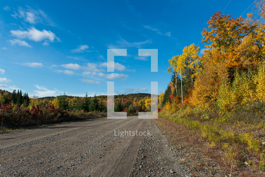 gravel road and fall forest 