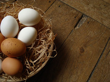 natural eggs – colored by nature – designed by God, 
eggs, egg, natural, basket, Easter, straw, nature, spring, colored, color, white, brown, spotted, speckled, food, eat, eating, chicken, hen, chickens, hens, pullets, straw, symbol, decoration, wood, floor