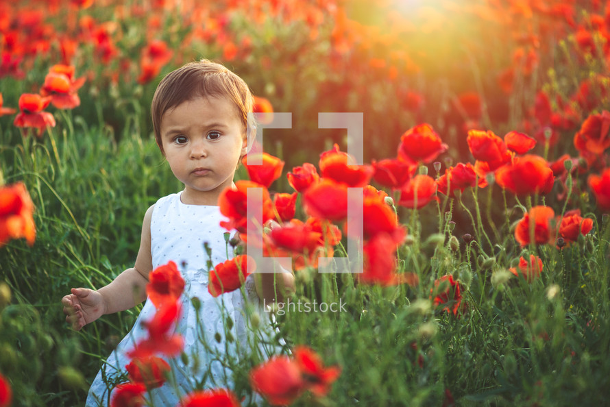 a girl playing in a field of poppies 