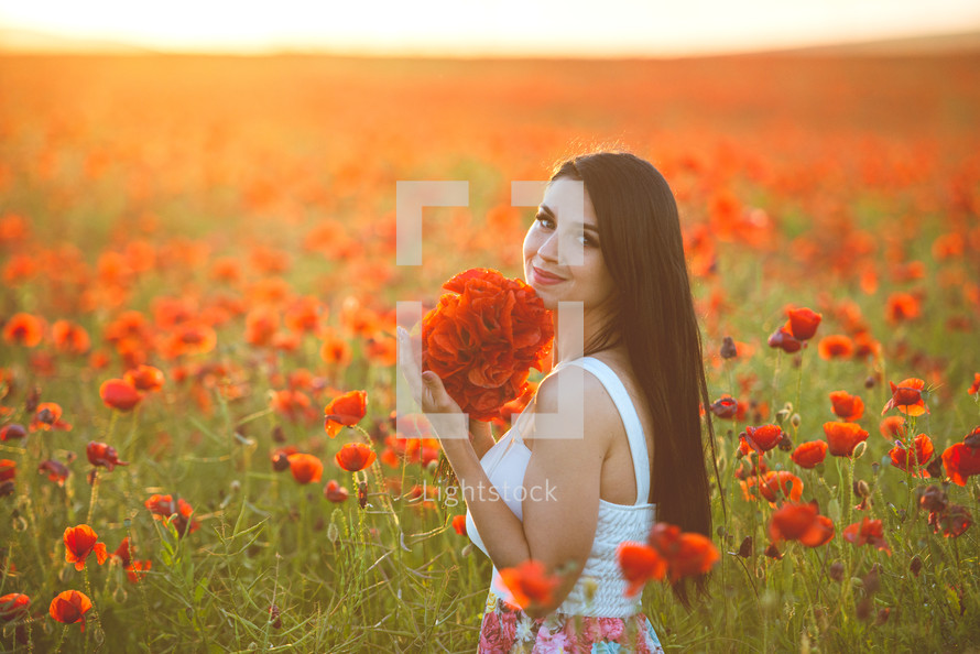 a woman picking flowers in a field a field of red poppies 